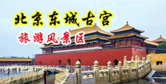 女生一起扣逼网站中国北京-东城古宫旅游风景区